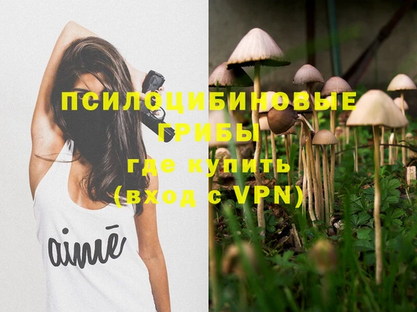 скорость Зеленокумск