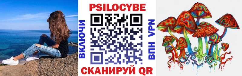 Купить где  Рославль  Псилоцибиновые грибы прущие грибы 